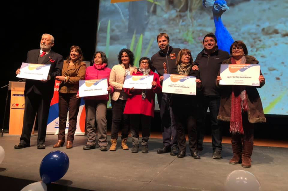 Foto de organizaciones de Puente Alto recibiendo diploma de Fondos Concursables